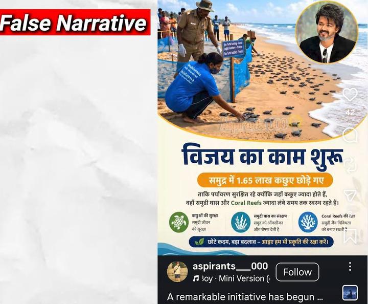 Olive Ridley turtle release framed as Vijay initiative in Hindi Olive Ridley turtle release framed as Vijay initiative in Hindi
