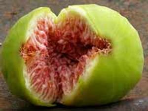 ಮಿಲನ ಮಹೋತ್ಸವಕ್ಕೆ ನೈಸರ್ಗಿಕ ಉಪಾಯ