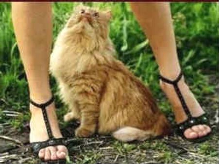 ಸೈಬರ್ ಕೆಫೆಗಳಲ್ಲಿ ಹುಡುಗರಿಗೆ ಸೆಕ್ಸ್ ತೆವಲು