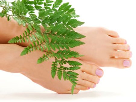 ಕಮಲದಂಥ ಪಾದಗಳಲಿ ಅಡಗಿದೆ ಕಾಮನೆ ರಹಸ್ಯ