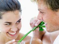 Celery vegetable viagra