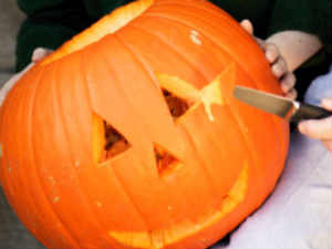 Smell of pumpkin drives men wild