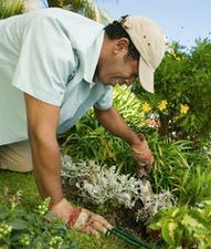 പൂന്തോട്ടപ്പണി ലൈംഗികശേഷി കൂട്ടും!!