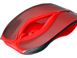 ശരിയ്ക്കും ജി സ്‌പോട്ട് ഉണ്ടോ?