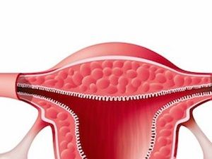 യോനിയുടെ അദ്ഭുതരഹസ്യങ്ങള്‍ വെളിവാകുന്നു