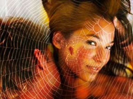 ഉദ്ധാരണം നിലനിര്‍ത്താന്‍ ചിലന്തിവിഷം