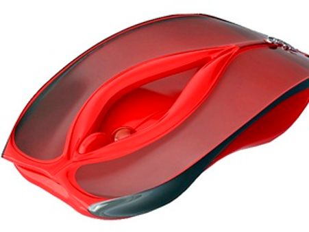 ശരിയ്ക്കും ജി സ്‌പോട്ട് ഉണ്ടോ?