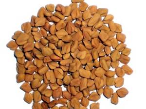 Fenugreek Fenugreek