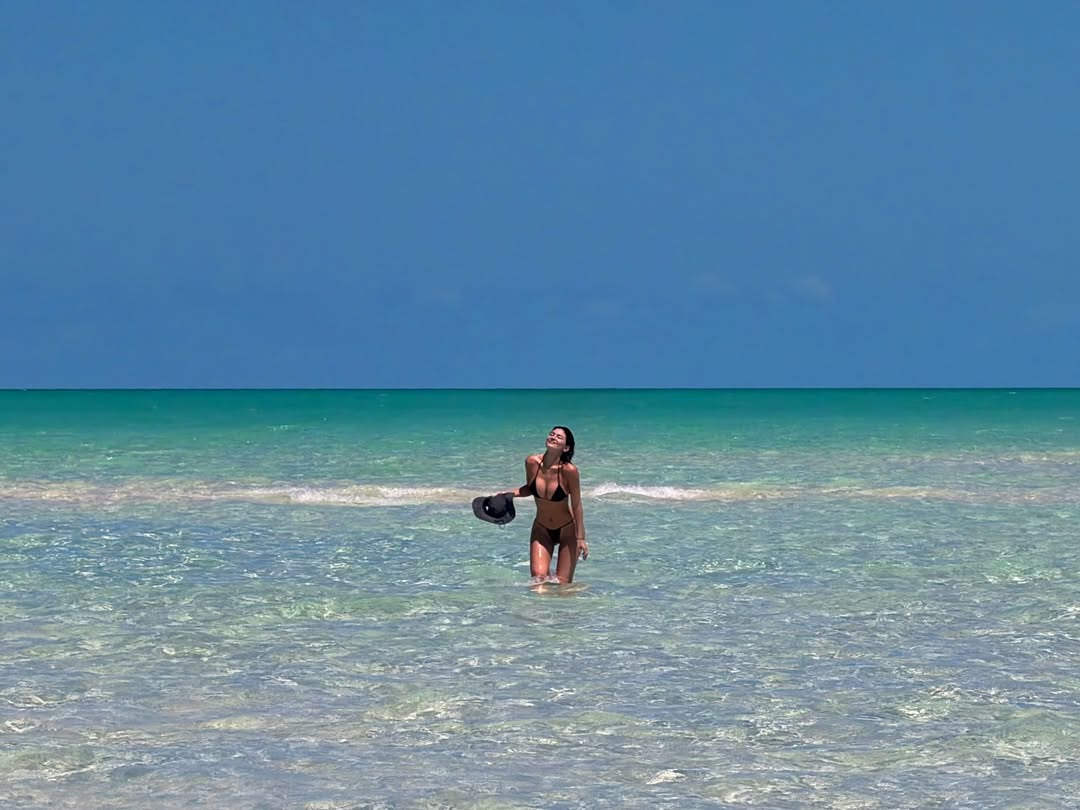 Trend Factor: Setting the Style Agenda