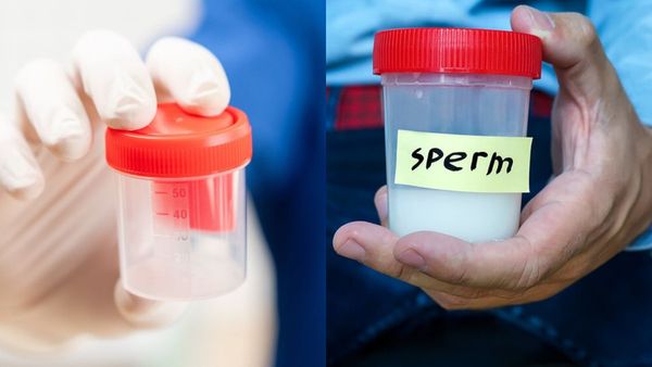 விந்து கெட்டியாக இல்லாமல் தண்ணீயாக இருந்தால் பெண்ணை கர்ப்பமாக்க முடியுமா? கட்டுக்கதையை நம்ப