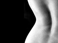 Body Curves