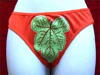 Scanner Proof Underpants