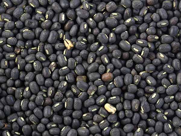 ஹார்மோனை தூண்டும் கறுப்பு உளுந்து