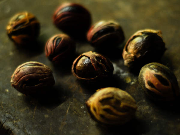 ஆண்மை பெருக்கும் ஜாதிக்காய்