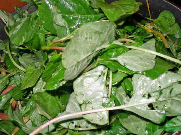 தாது விருத்திக்கு அரைக்கீரை