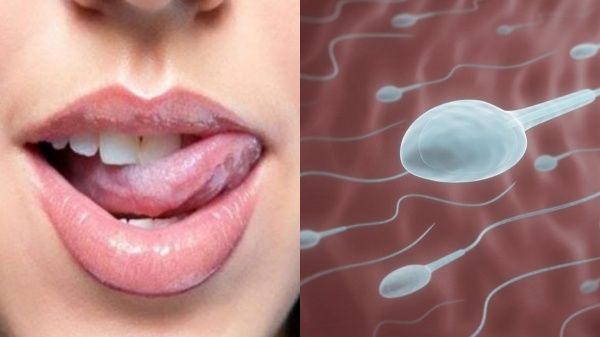 oral sex sperm relationship oral sex sperm relationship