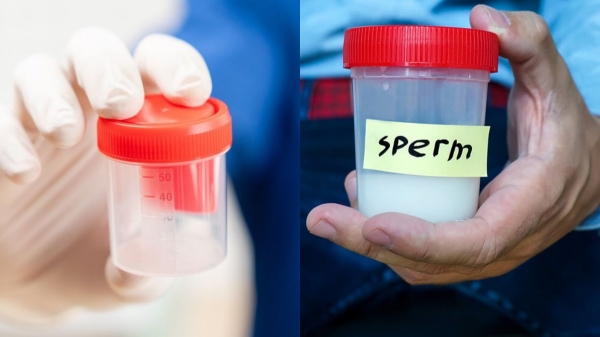 sex  relationship   sperm