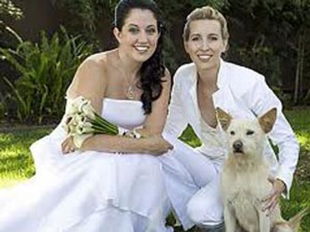 ఆరితేరిన స్వలింగసంపర్కులు! ఆపై మీ ఇష్టం!!